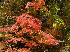 -五女峰国家森林公园