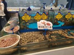 -海铺·渔家虾水饺(皇姑店)