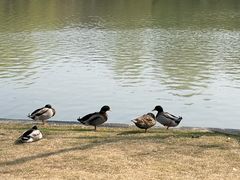 -东华大学(松江校区)