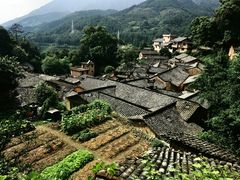 -杨家堂村