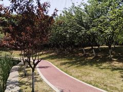 -太子山公园(园东路)
