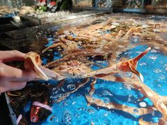 -徐记海鲜(南油永新汇店)