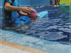 -龙格亲子游泳·水育早教运动中心(绿宝中心)