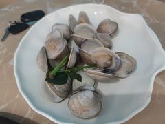 白贝-海大大蒸汽海鲜餐厅·粤菜·特色小炒(欢乐颂店)