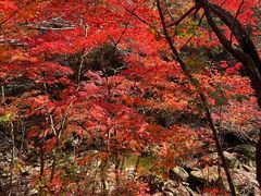 -本溪老边沟风景区