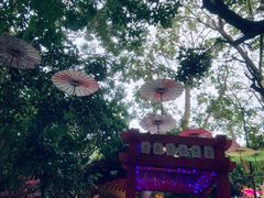 -海口观澜湖火山温泉谷