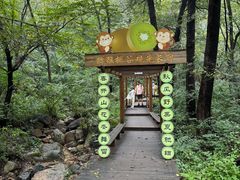 -大岭沟猕猴桃谷风景区