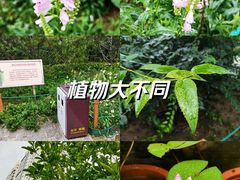 -原鄉本味 楚菜 丹江口鱼(北苑店)