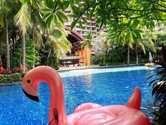 -三亚湾海居铂尔曼度假酒店