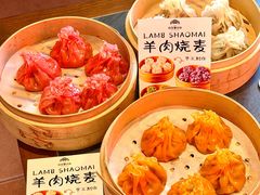 -百彦蒙古包·碳烤羊排·手抓羊肉(万江首店)