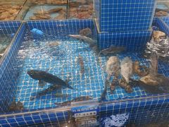 -渔港甄宴·海鲜·地标烟台菜(金沙滩店)