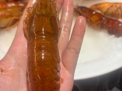 -红盔甲·小龙虾(人民广场店)