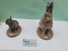 -国家自然博物馆