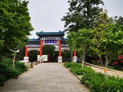 -云岗森林公园