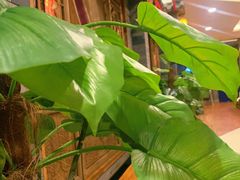 -卯时·龙光雅宴·精致锡帮菜(惠山古镇店)