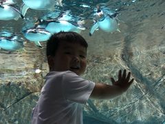 -成都浩海立方海洋公园