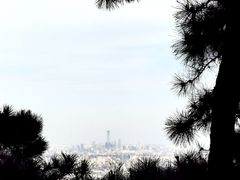 -鼎泰丰(当代商城店)