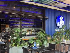 -bluefrog蓝蛙(皇庭广场店)