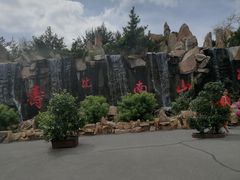 -龙口南山旅游景区