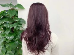 -Y-STUDIO原理