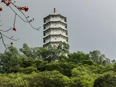 -深圳国际园林花卉博览园