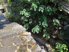 -MOJ coffee(瓯海泽雅水碓坑店)