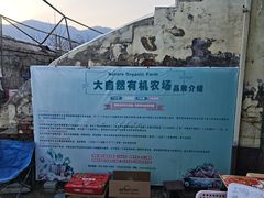 -大自然农场蔬菜草莓采摘园