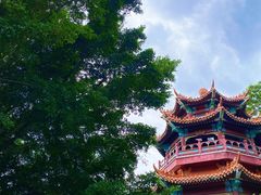 -神光山国家森林公园