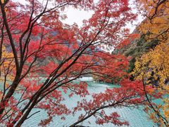 -叠溪松坪沟景区