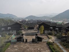 -大唐贡茶院