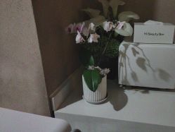 -Hi Beauty Skin 科技美肤中心