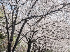 -昆山城市公园