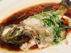 -富淳饭店(陆家嘴保利广场店)