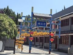 -吴桥杂技大世界