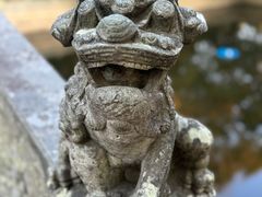 -普陀山风景名胜区-法雨禅寺