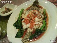 清蒸鳜鱼-金八仙酒店