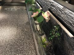 -大榕树下顺德菜(融创茂店)