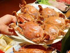 -星伦多自助料理(龙湖虹桥天街店)