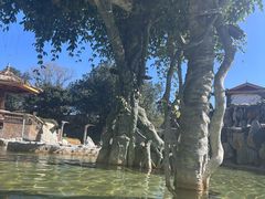 -大理地热国