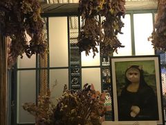 -喵屿·大理花园猫咖