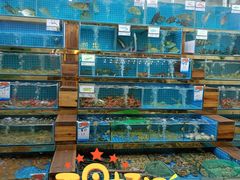 水产区-锐记美食店·现捞海鲜(闸坡店)