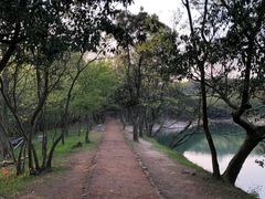 -南京市无想山景区