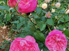 -人民公园(罗湖区)