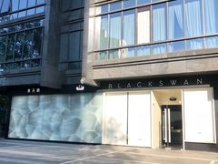 -BLACKSWAN黑天鹅(环球店)