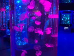 -梦幻海洋王国(吾悦广场张家港店)