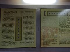 -荣国府