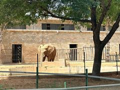 -石家庄市动物园