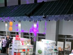 -上海环球金融中心骑迹50年环球之旅