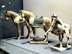 -贵州省博物馆(新馆)