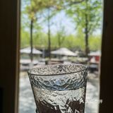 阳光下 歇脚的好地方☀️讨口水喝☀️奥体,银杏里,金图